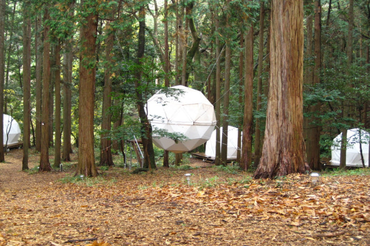 まるで秘密基地!?緑の森に浮かぶ非現実的な真っ白い球体テントの正体は・・・