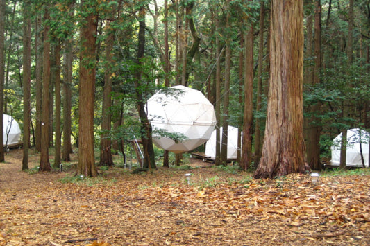 まるで秘密基地!?緑の森に浮かぶ非現実的な真っ白い球体テントの正体は・・・
